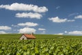 Billy-Le-Grand Vineyards and Clouds