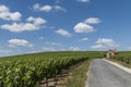 Billy-Le-Grand Vineyards and Road
