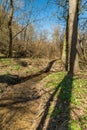 Bilovka river in springtime CHKO Poodri in Czech republic