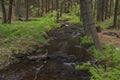 Bily Halstrov creek in west Bohemia in spring sunny fresh day