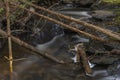 Bily Halstrov creek in west Bohemia in spring sunny fresh day