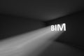 BIM rays volume light concept