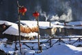 The bimodal forest farm in heilongjiang province - Snow Village