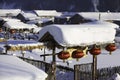 The bimodal forest farm in heilongjiang province - Snow Village