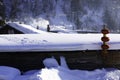 The bimodal forest farm in heilongjiang province - Snow Village