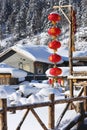 The bimodal forest farm in heilongjiang province - Snow Village Royalty Free Stock Photo