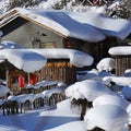 The bimodal forest farm in heilongjiang province - Snow Village