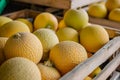 bin of fresh honeydews, with a few still whole Royalty Free Stock Photo