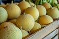 bin of fresh honeydews, with a few still whole