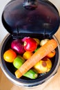 Bin and lid full of fruit and vegetables