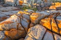 Binalong Bay Bay of Fires Royalty Free Stock Photo