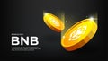 Binance BNB coin banner. BNB cryptocurrency concept banner background Royalty Free Stock Photo