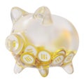 Binance USD (BUSD) Clear Glass piggy bank