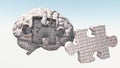Binary Brain Puzzle Royalty Free Stock Photo