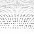 Binary code consisting of ones and zeros is arranged in rows across a white Royalty Free Stock Photo