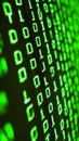 Binary code displayed on screen with green digits and dark background Royalty Free Stock Photo