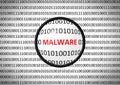 Binary code with MALWARE and magnifying lens Royalty Free Stock Photo