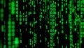 Binary code matrix, digital data stream, technology background, Stock Photo, Generative AI Royalty Free Stock Photo