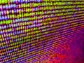Binary computer code background, abstract. Real Html code developing screen. Internet connection stream flow concept. Python Royalty Free Stock Photo