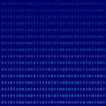 Binary computer language monitor digits