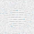 Binary data view. cybersecurity. binary code concave hemisphere with allocated key bits. vector Royalty Free Stock Photo