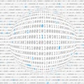 Binary data view. cybersecurity. binary code concave hemisphere with allocated key bits. vector Royalty Free Stock Photo