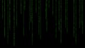 01 or binary numbers on the computer screen on monitor matrix background, Digital data code in hacker or safety security Royalty Free Stock Photo