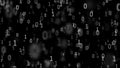 01 or binary numbers on the computer screen on monitor matrix background, Digital data code in hacker or safety security Royalty Free Stock Photo