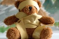 Binding bear toy. Royalty Free Stock Photo