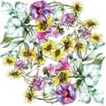 Bindweed, chamomile flower bouquet, watercolor, pattern Royalty Free Stock Photo