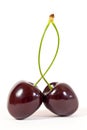 Bing Cherries Royalty Free Stock Photo