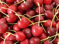 Bing Cherry Royalty Free Stock Photo