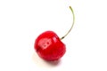 Bing cherry Royalty Free Stock Photo