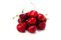 Bing cherry