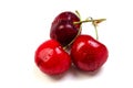 Bing cherry Royalty Free Stock Photo