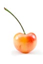 Bing cherry Royalty Free Stock Photo