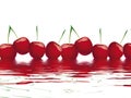 Bing cherry Royalty Free Stock Photo