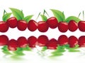 Bing cherry Royalty Free Stock Photo