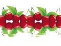 Bing cherry Royalty Free Stock Photo