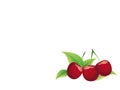 Bing cherry