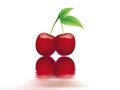 Bing cherry