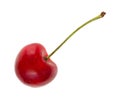 Bing variety cherry on white background Royalty Free Stock Photo