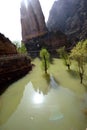 Bingling Temple and inundated area