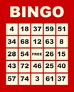 Bingo card Royalty Free Stock Photo