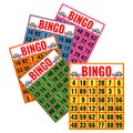 Bingo colorful cards vector illustration isolated on white. Royalty Free Stock Photo