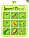 Bingo with different insects 3 Royalty Free Stock Photo