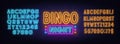 Bingo Night neon sign on brick wall background.