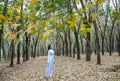 Silhouette of a girl in long dress or ao dai in rubber forest autumn morning