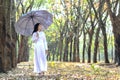 Silhouette of a girl in long dress or ao dai in rubber forest autumn morning