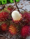 Binjai type rambutan fruit that has been perfectly ripe Royalty Free Stock Photo